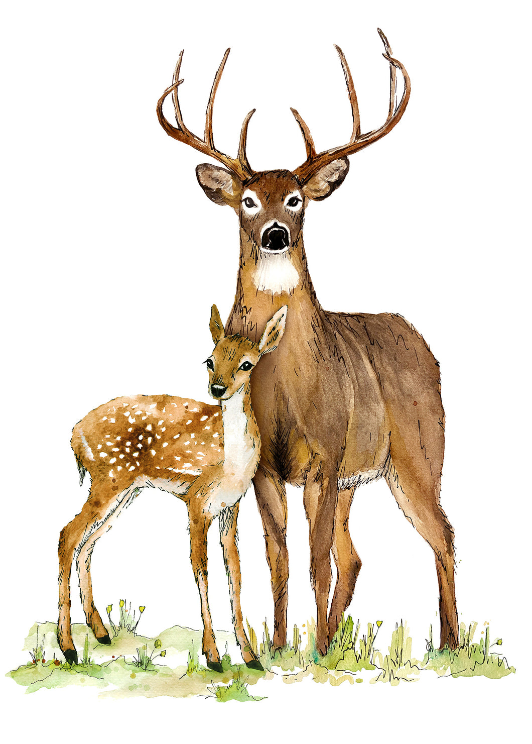 Two Deer