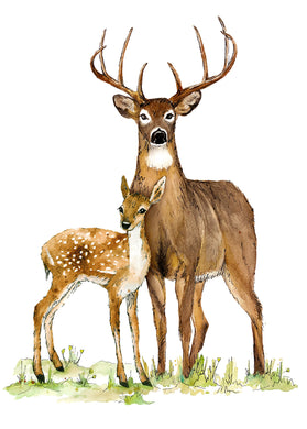 Two Deer
